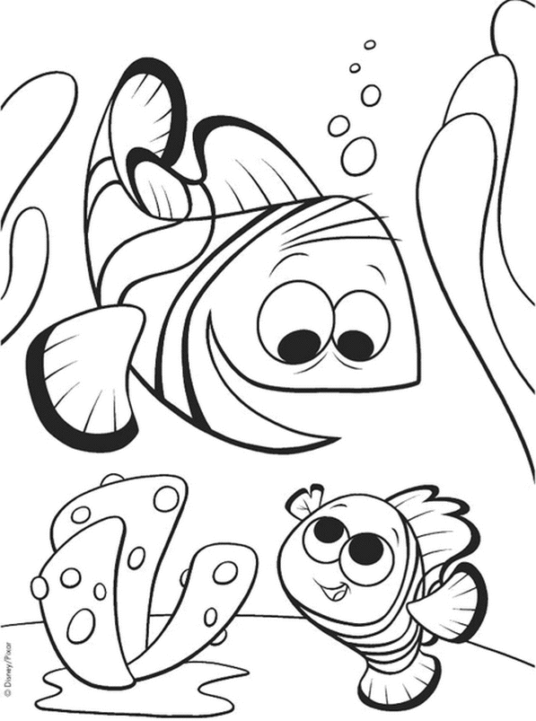 coloriage nemo et son papa